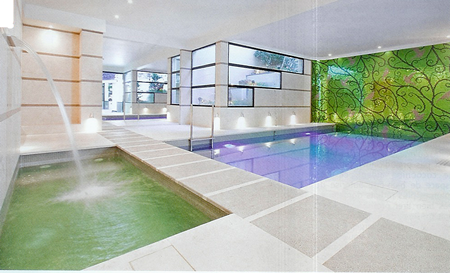 ultra modern pool hall and spa with water features