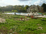 10m by 5m pool with beautiful landscaping