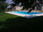 beautiful 12m by 5m pool in garden