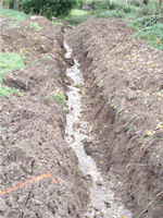 large luxury pool built on very wet site requiring reinforcement
