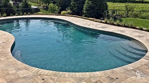 Kidney shaped freeboard vinyl liner pool
