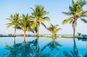 Stunning infinity edge pool with surrounding palm trees