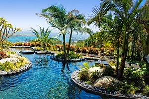 Tropical hotel pool with various palm trees on islands