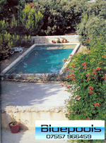 13 x 5 concrete pool in landscaped garden